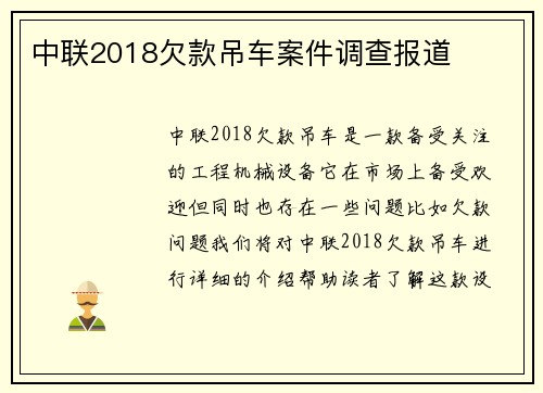 中联2018欠款吊车案件调查报道